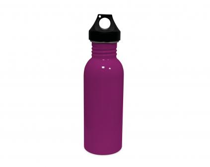 Stainless Plus 750ml Gloss ColourCoat Bottle